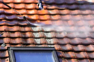 nettoyage de toiture au Kärcher pour lichens et mousses : les dangers et alternatives