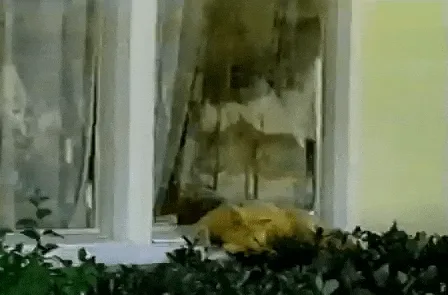 Les dangers d'une pression trop élevée qui fragilise les tuiles